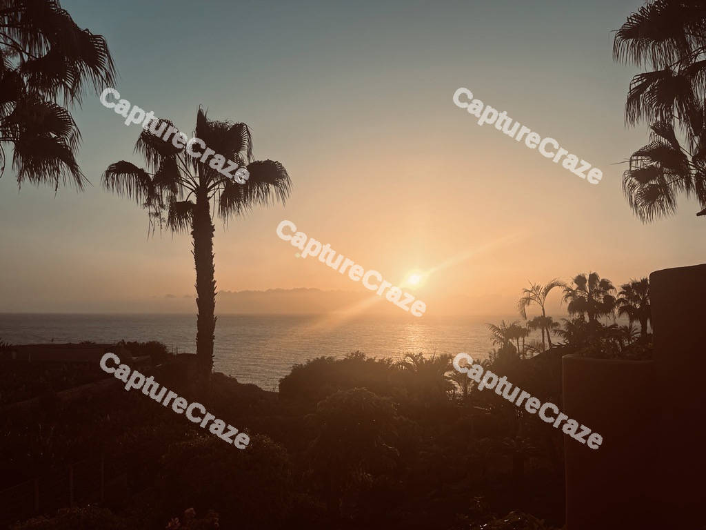 Sunset Sea View